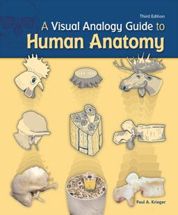 Visual Analogy Guide to Human Anatomy 3rd 9781617310645 Front Cover