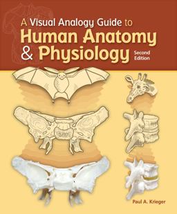 Visual Analogy Guide to Human Anatomy and Physiology 2nd 9781617310669 Front Cover