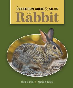 Dissection Guide and Atlas to the Rabbit  9781617319372 Front Cover