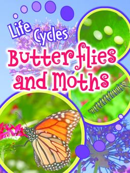 Butterflies and Moths