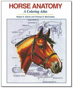 Horse Anatomy A Coloring Atlas  9781617812408 Front Cover