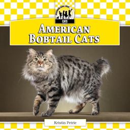 American Bobtail Cats American Bobtail Cats