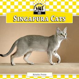 Singapura Cats Singapura Cats