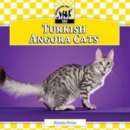 Turkish Angora Cats Turkish Angora Cats