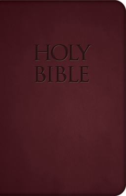 Holy Bible: New American Bible, Red Premium Ultrasoft  9781618900616 Front Cover