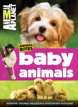 Animal Planet Baby Animals