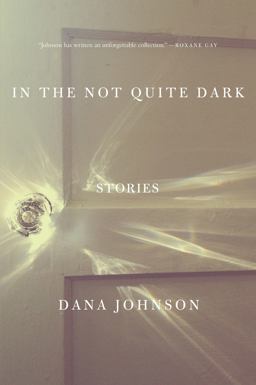 In the Not Quite Dark Stories  9781619027329 Front Cover