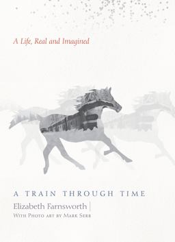 A Train Through Time