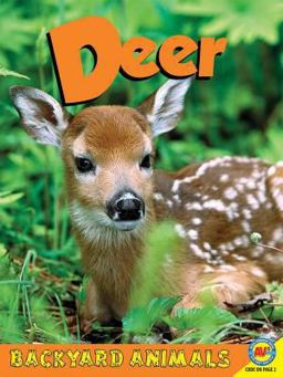 Deer