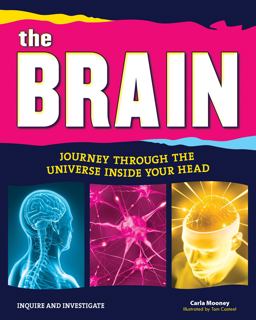 The Brain The Brain