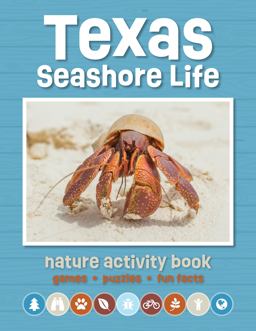 Texas Seashore Life