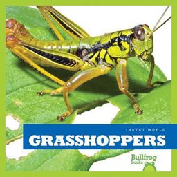 Grasshoppers