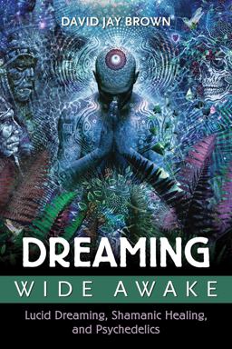 Dreaming Wide Awake Lucid Dreaming, Shamanic Healing, and Psychedelics  9781620554890 Front Cover
