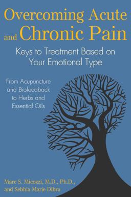 Overcoming Acute and Chronic Pain Keys to Treatment Based on Your Emotional Type  9781620555637 Front Cover