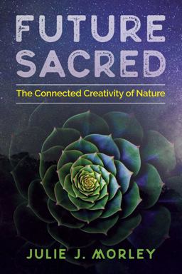 Future Sacred The Connected Creativity of Nature  9781620557686 Front Cover