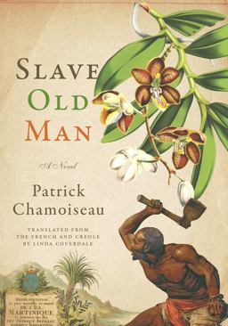 Slave Old Man A Novel  9781620972953 Front Cover