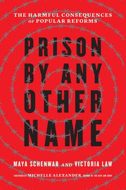 Prison by Any Other Name The Harmful Consequences of Popular Reforms  9781620973103 Front Cover