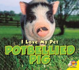 Potbellied Pig