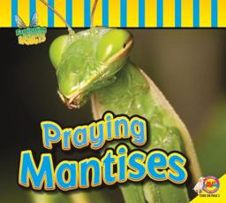 Praying Mantises
