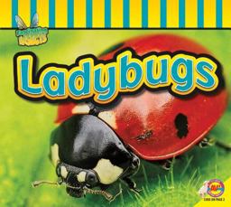 Ladybugs