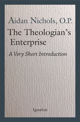 Theologian's Enterprise A Very Short Introduction  9781621643036 Front Cover