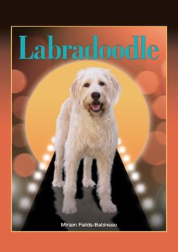 Labradoodle  9781621871071 Front Cover