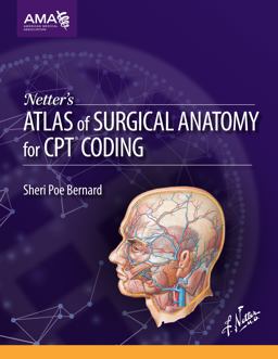 Netter's Atlas of Surgical Anatomy for CPT Coding  9781622020300 Front Cover