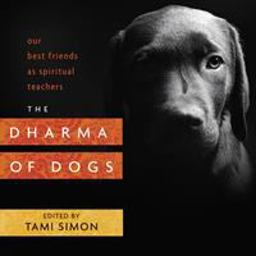 Dharma of Dogs Our Best Friends As Spiritual Teachers  9781622037414 Front Cover