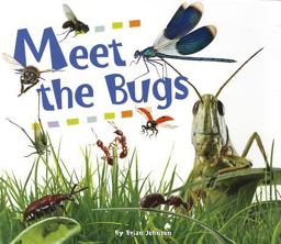 Meet the Bugs