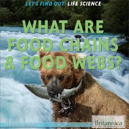 What Are Food Chains and Food Webs?