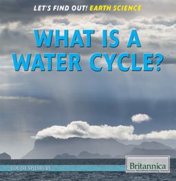 What Is the Water Cycle?