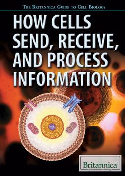 How Cells Send, Receive, and Process Information How Cells Send, Receive, and Process Information