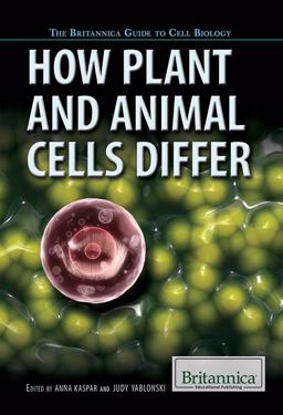 How Plant and Animal Cells Differ
