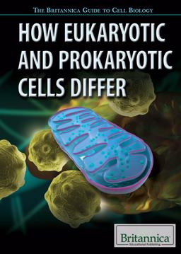 How Eukaryotic and Prokaryotic Cells Differ