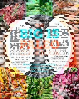 Big 15 Paleo Cookbook 15 Fundamental Ingredients, 150 Paleo Diet Recipes, 450 Variations  9781623157692 Front Cover