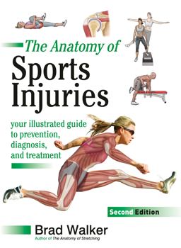 Anatomy of Sports Injuries, Second Edition Your Illustrated Guide to Prevention, Diagnosis, and Treatment  9781623172831 Front Cover