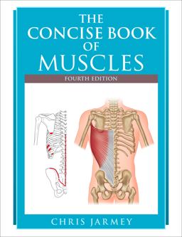 Concise Book of Muscles, Fourth Edition 4th 9781623173388 Front Cover