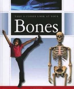 Take a Closer Look at Your Bones