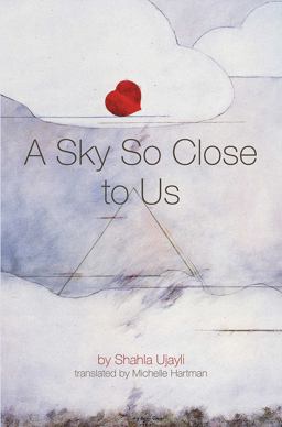 Sky So Close to Us A Novel  9781623719838 Front Cover