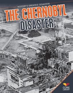 Chernobyl Disaster Paperback