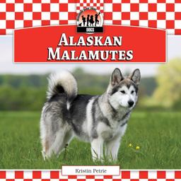 Alaskan Malamutes Alaskan Malamutes