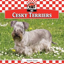 Cesky Terriers Cesky Terriers