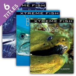 Xtreme Fish Xtreme Fish