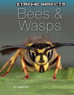 Bees and Wasps