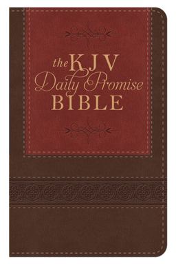 The KJV Daily Promise Bible