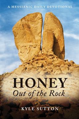 HONEY Out of the Rock