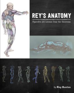 Rey's Anatomy Figurative Art Lessons from the Classroom  9781624650598 Front Cover