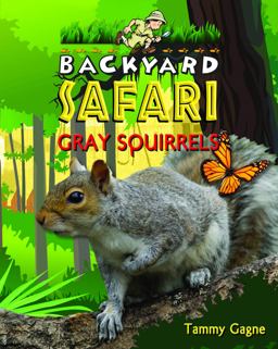 Backyard Jungle Safari Gray Squirrels