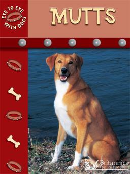 Eye to Eye with Dogs Eye to Eye with Dogs