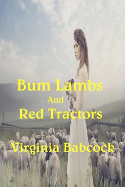 Bum Lambs and Red Tractors
